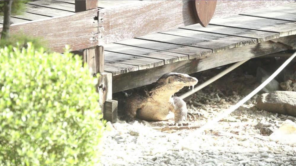 ホテルパラウ アイヤー リゾート アンド コテージズ ジャカルタ エクステリア 写真